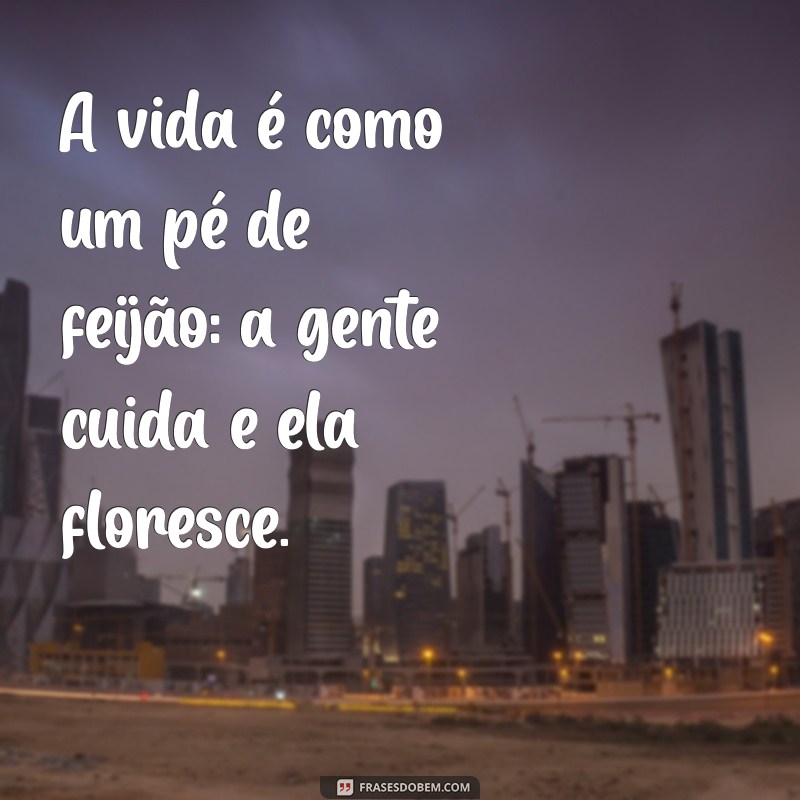 As Melhores Frases Caipiras: Sabedoria e Humor do Interior 