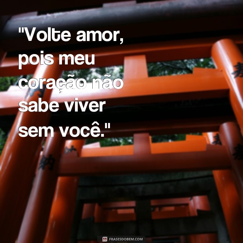 frases volte amor 