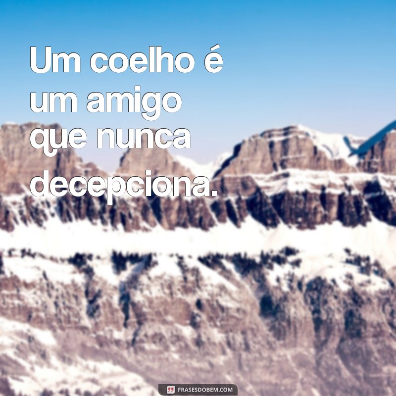 24 Frases Curtas e Inspiradoras sobre Coelhos para Encantar seu Dia 