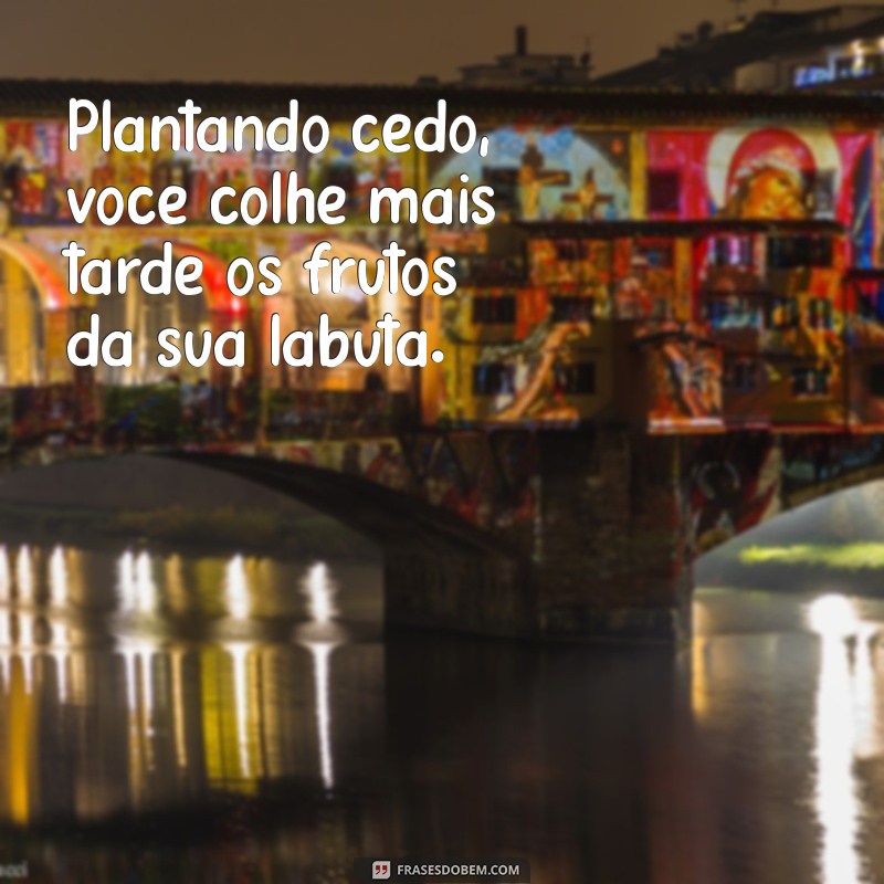 Frases Inspiradoras: Deus Ajuda Quem Cedo Madruga - Motivação Diária 