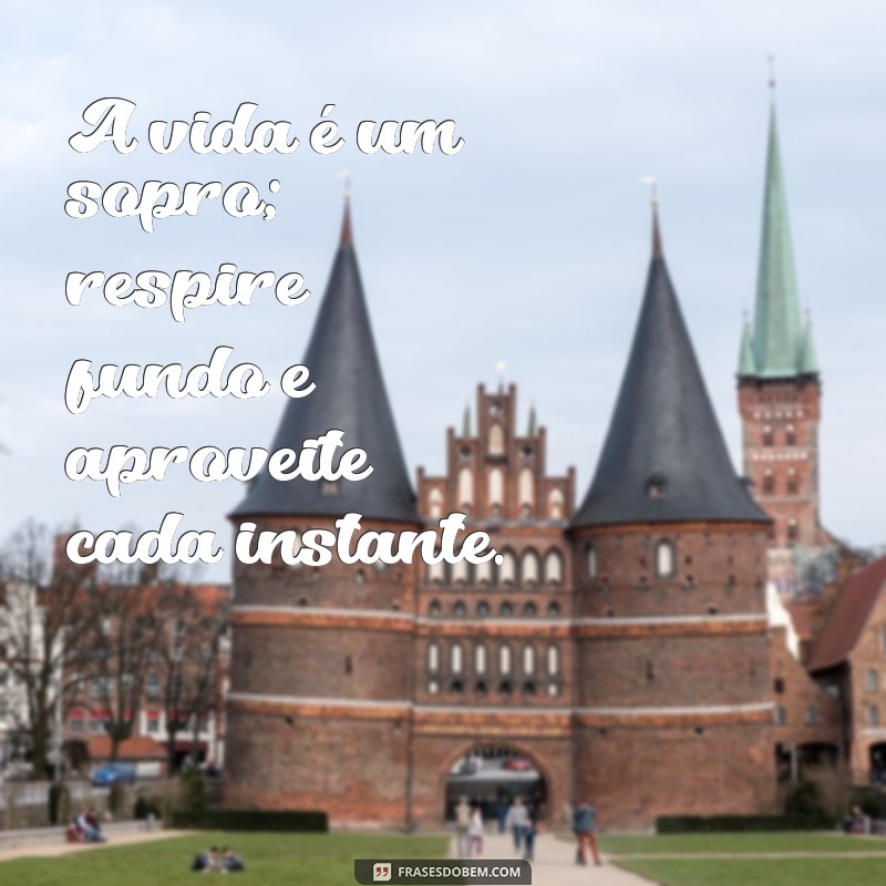mensagem de reflexão a vida é um sopro A vida é um sopro; respire fundo e aproveite cada instante.