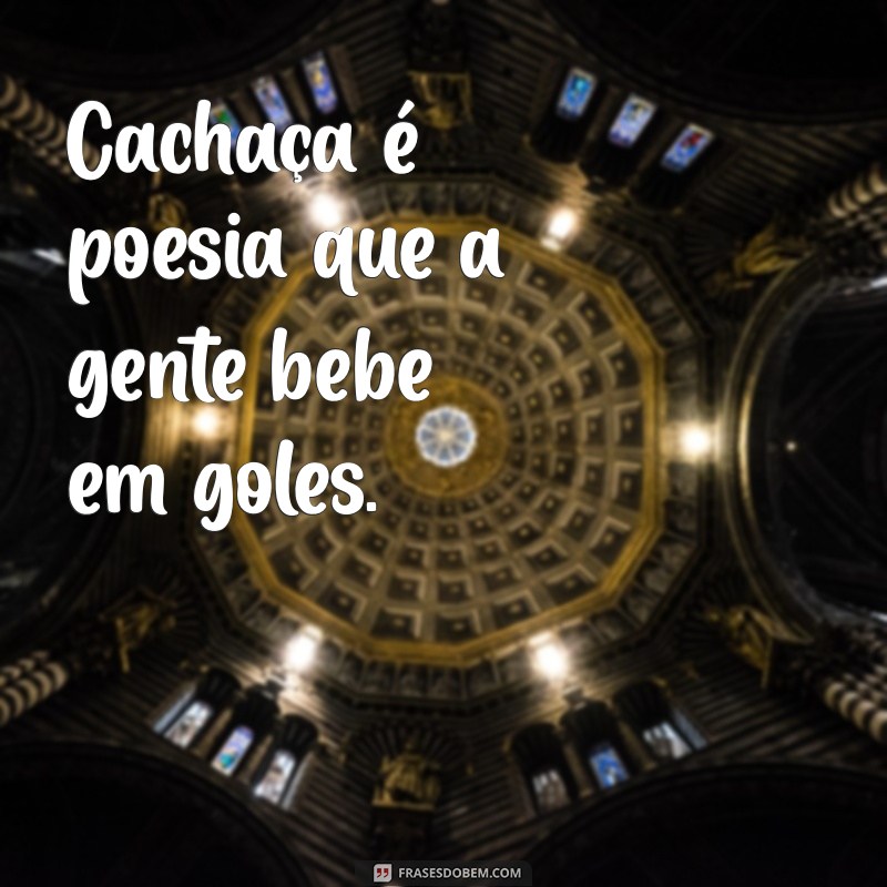 As Melhores Frases Engraçadas para Cachaceiros: Humor e Sabedoria em Cada Gole 