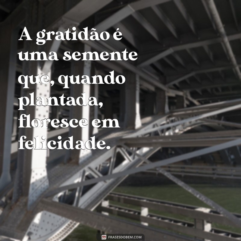 Frases Inspiradoras de Gratidão: Aprecie Cada Momento da Vida 