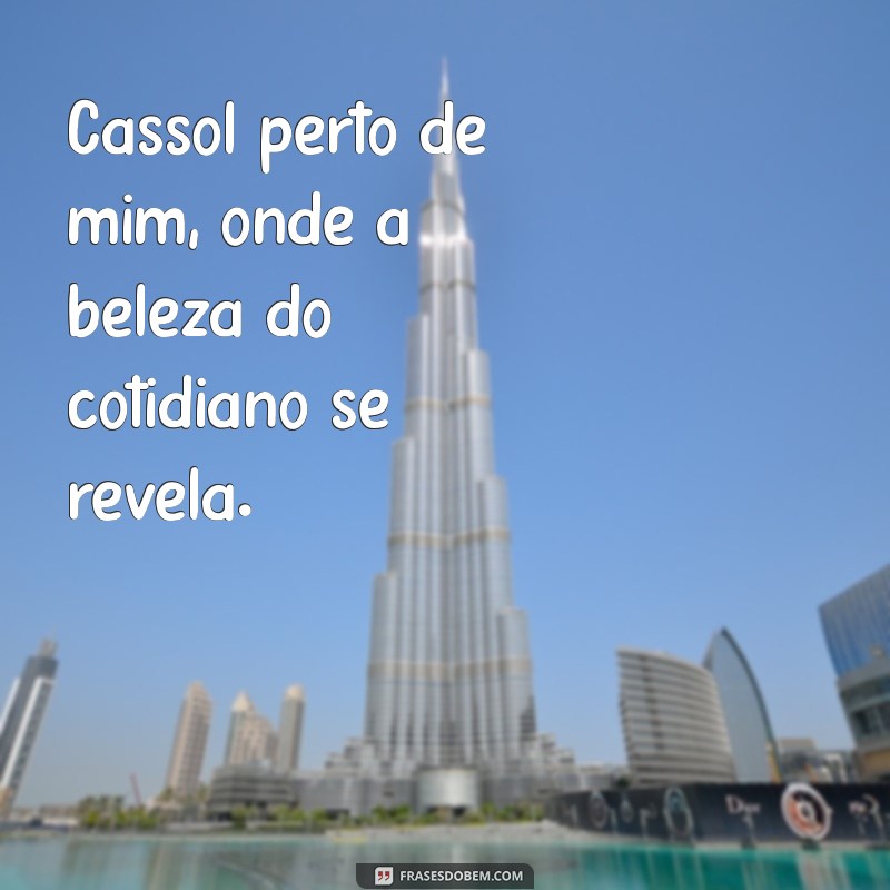 cassol perto de mim Cassol perto de mim, onde a beleza do cotidiano se revela.