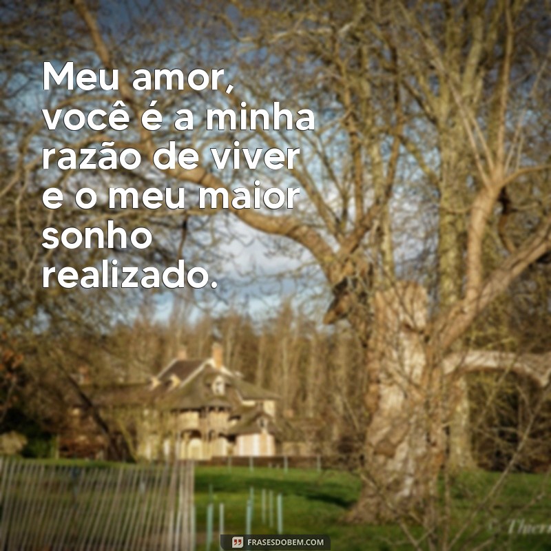 frases texto de amor para namorada Meu amor, você é a minha razão de viver e o meu maior sonho realizado.