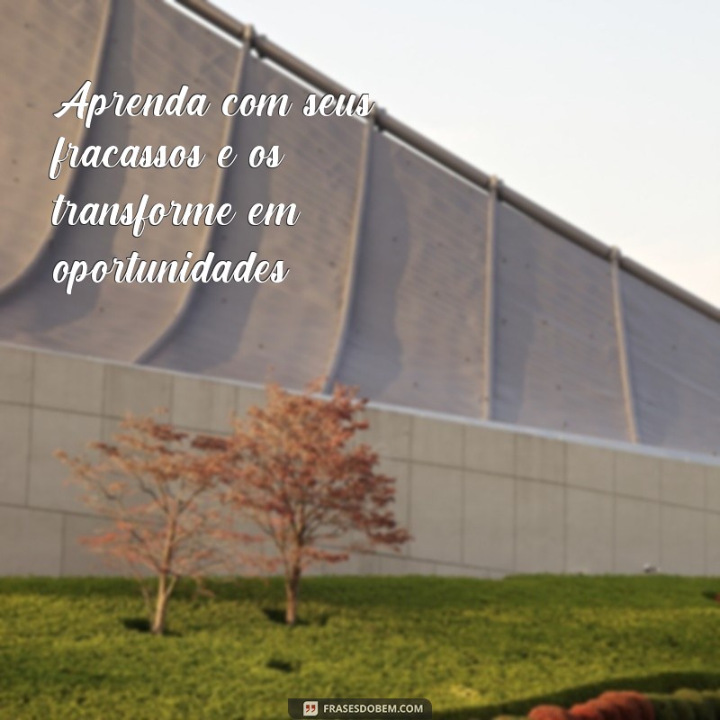 Descubra as melhores frases de mentores de sucesso para inspirar sua jornada 