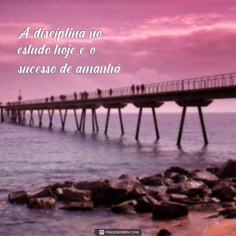 225 Frases Motivacionais para Impulsionar Seus Estudos e Aumentar a Produtividade 