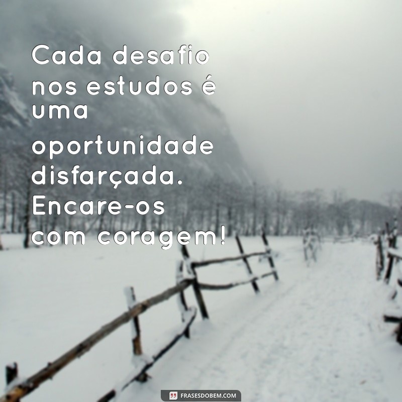 225 Frases Motivacionais para Impulsionar Seus Estudos e Aumentar a Produtividade 