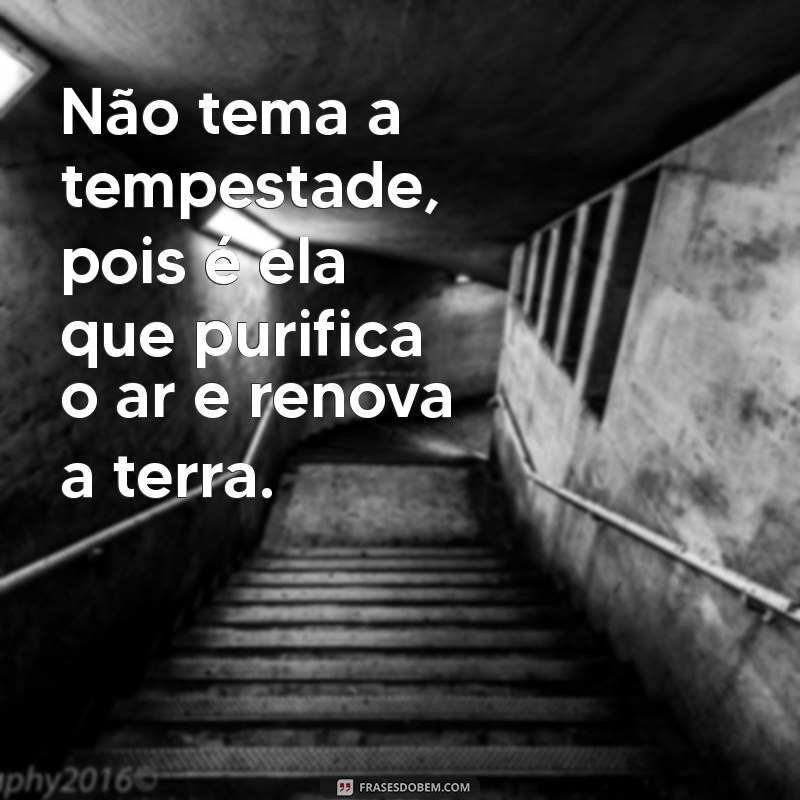 Frases Inspiradoras para Enfrentar Tempestades da Vida 