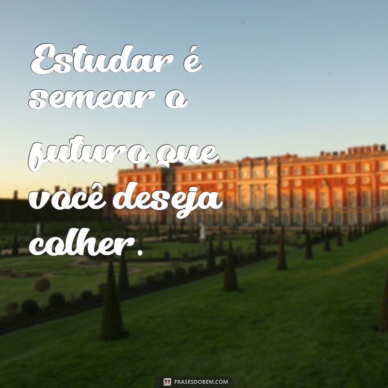 Frases Motivacionais para Estudar: Inspire-se e Aumente seu Desempenho Acadêmico 