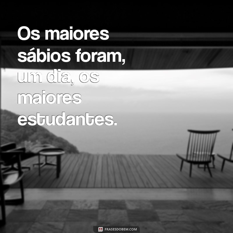 Frases Motivacionais para Estudar: Inspire-se e Aumente seu Desempenho Acadêmico 