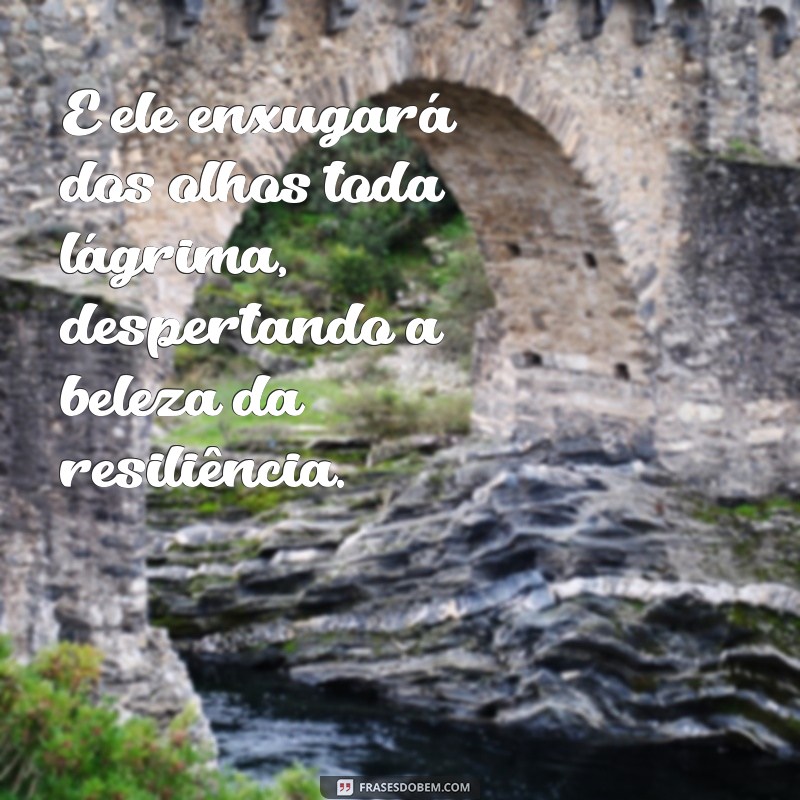 Como Encontrar Conforto nas Promessas de Esperança: E Ele Enxugará dos Olhos Toda Lágrima 