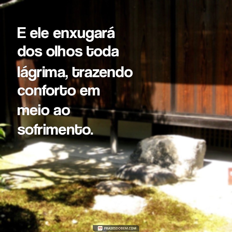 Como Encontrar Conforto nas Promessas de Esperança: E Ele Enxugará dos Olhos Toda Lágrima 