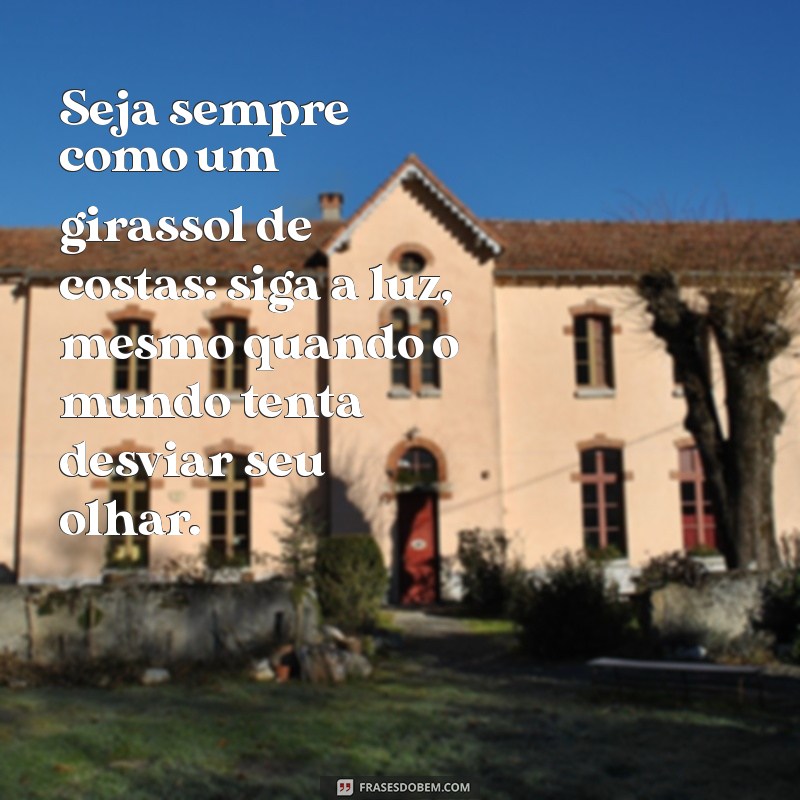 seja sempre como um girassol de costas Seja sempre como um girassol de costas: siga a luz, mesmo quando o mundo tenta desviar seu olhar.