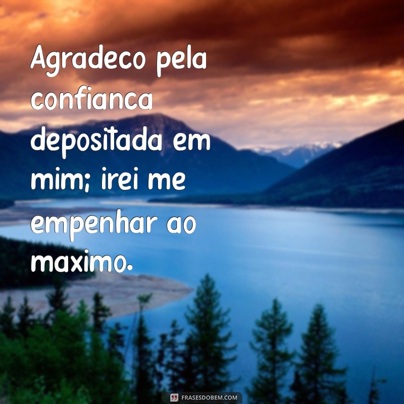 Top 20 Frases de Agradecimento pela Oportunidade: Inspire e Impressione 