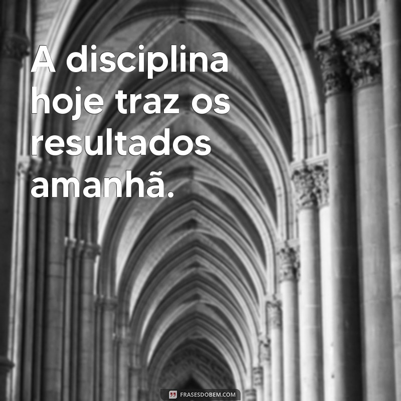 Frases Motivacionais para Academia: Inspire-se e Alcance Seus Objetivos Fitness 