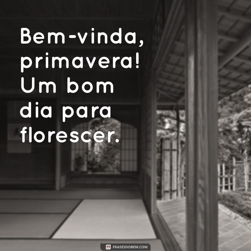 bem vinda primavera bom dia Bem-vinda, primavera! Um bom dia para florescer.