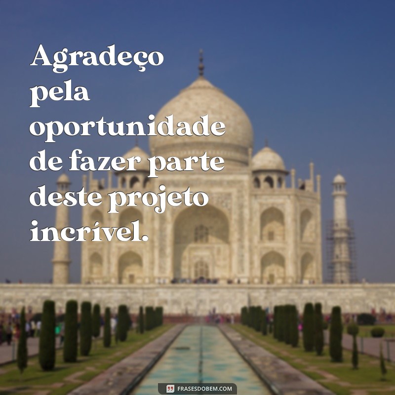 Como Agradecer pela Oportunidade: Frases e Dicas Inspiradoras 