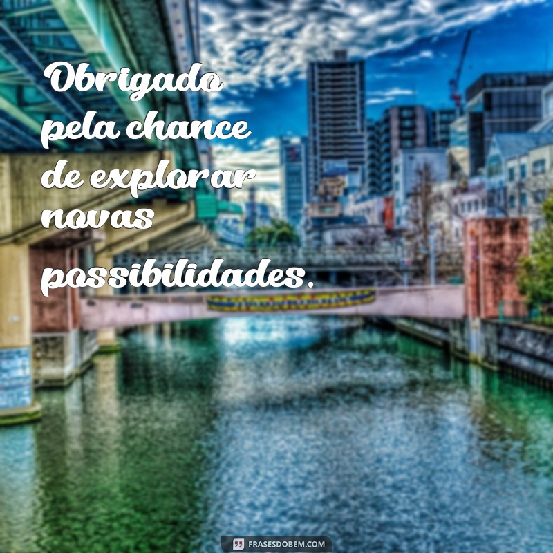 Como Agradecer pela Oportunidade: Frases e Dicas Inspiradoras 