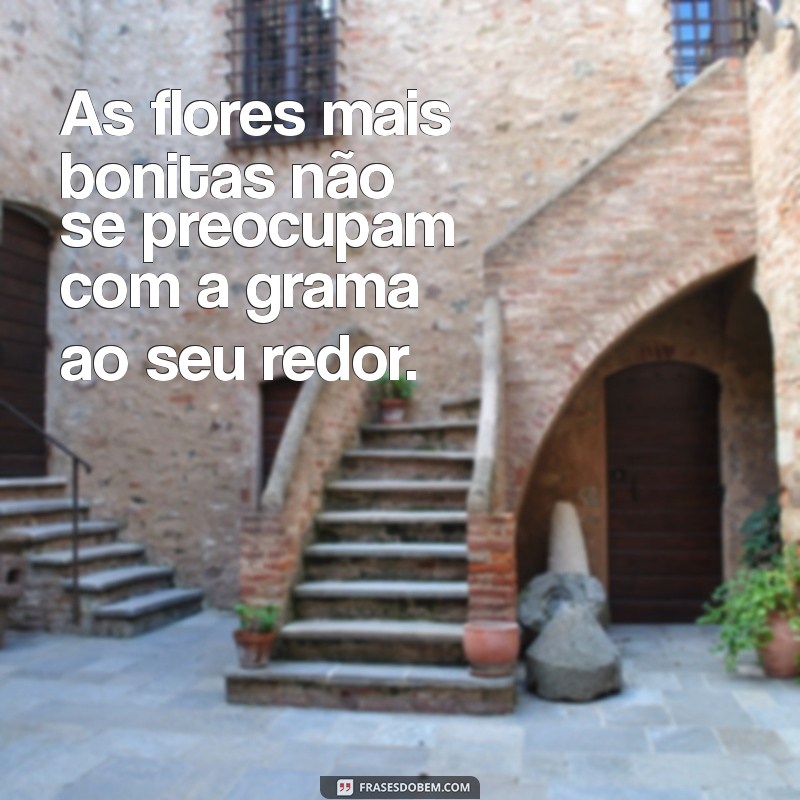 Frases Poderosas para Enfrentar a Inveja e Inspirar Confiança 