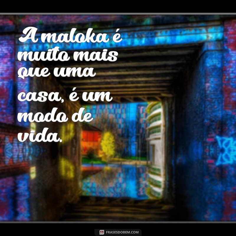 Descubra as melhores frases de maloka para arrasar na sua biografia 