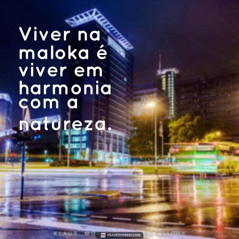 frases de maloka para biografia Viver na maloka é viver em harmonia com a natureza.