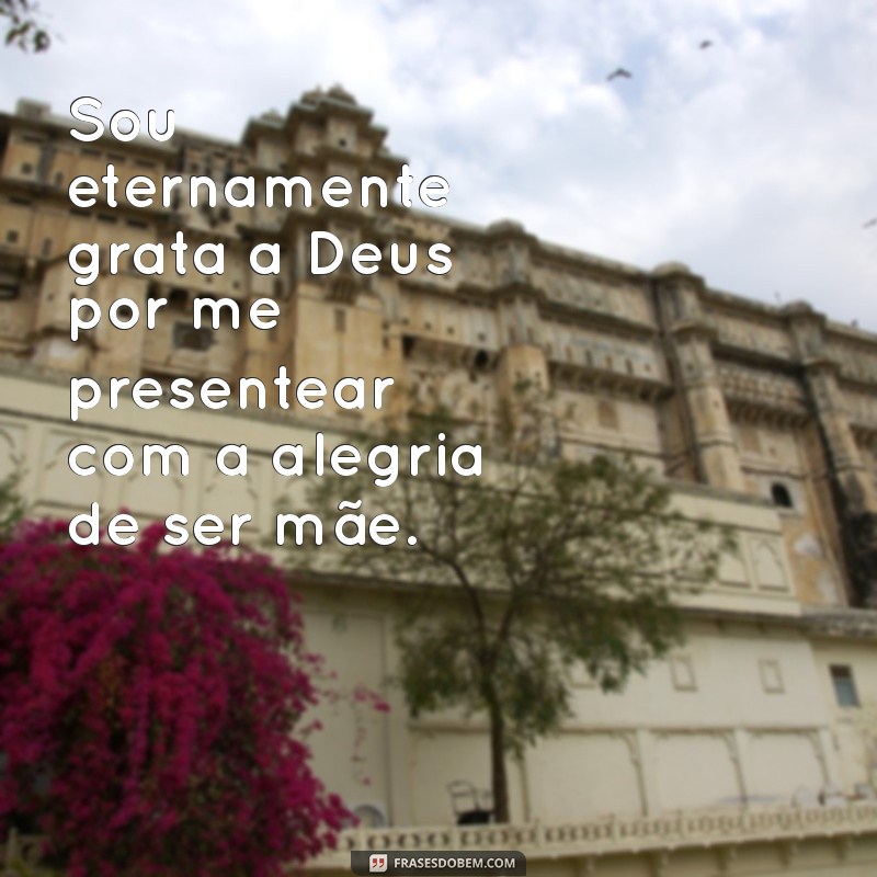 gratidão a deus por ser mãe Sou eternamente grata a Deus por me presentear com a alegria de ser mãe.