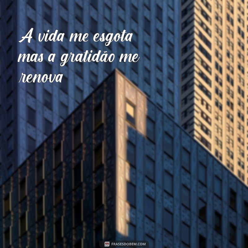 Frases Inspiradoras de Gratidão para Dias Cansativos 