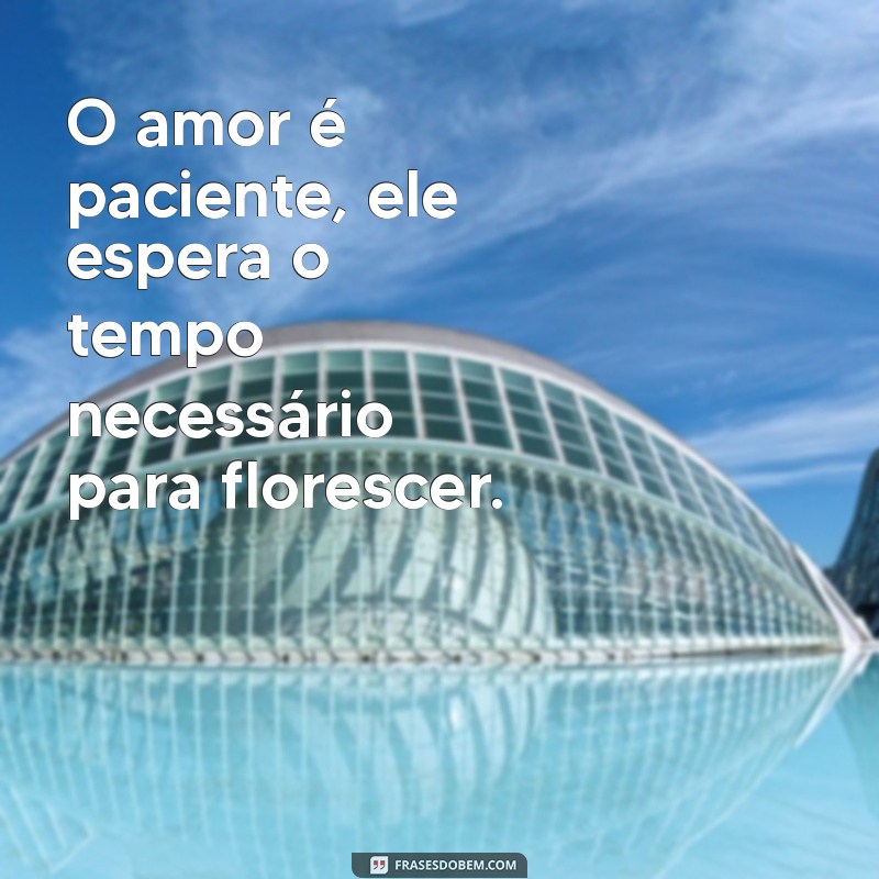 o amor é paciente O amor é paciente, ele espera o tempo necessário para florescer.