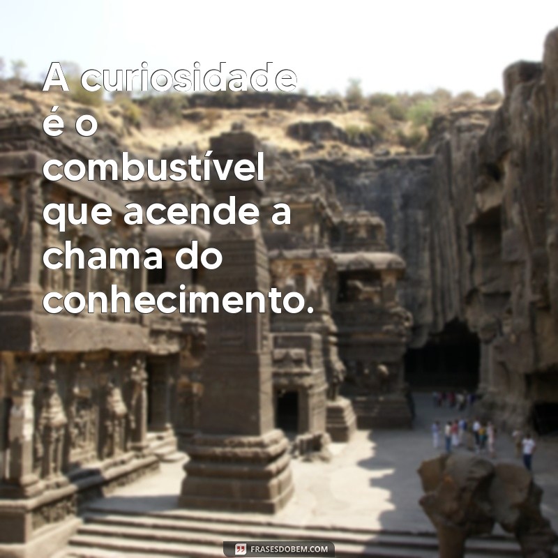 frases excitação mental A curiosidade é o combustível que acende a chama do conhecimento.