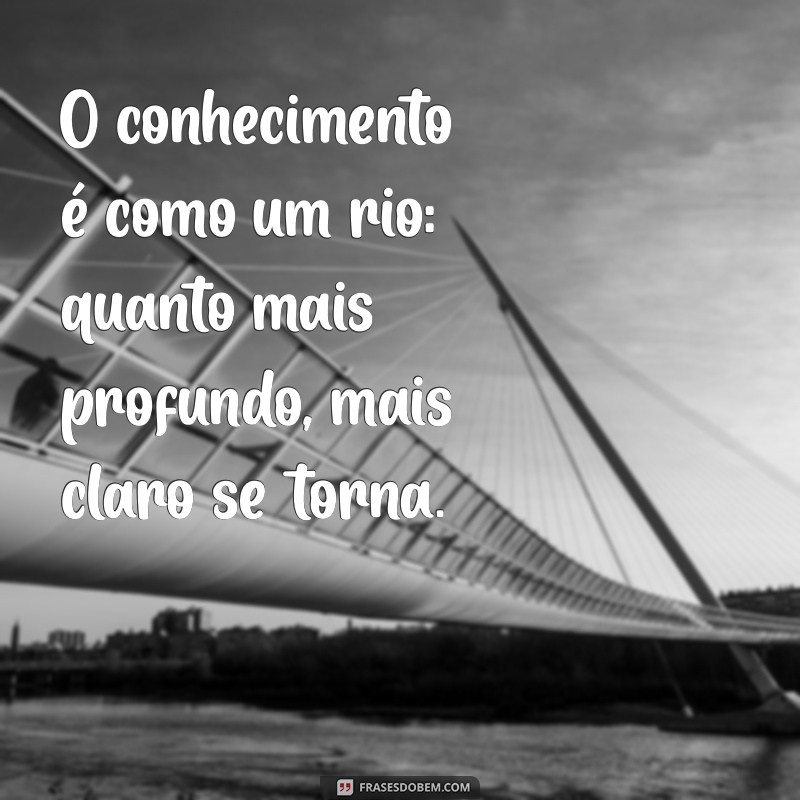 Sabedoria vs. Conhecimento: Entenda as Diferenças e Como Aplicá-los na Sua Vida 