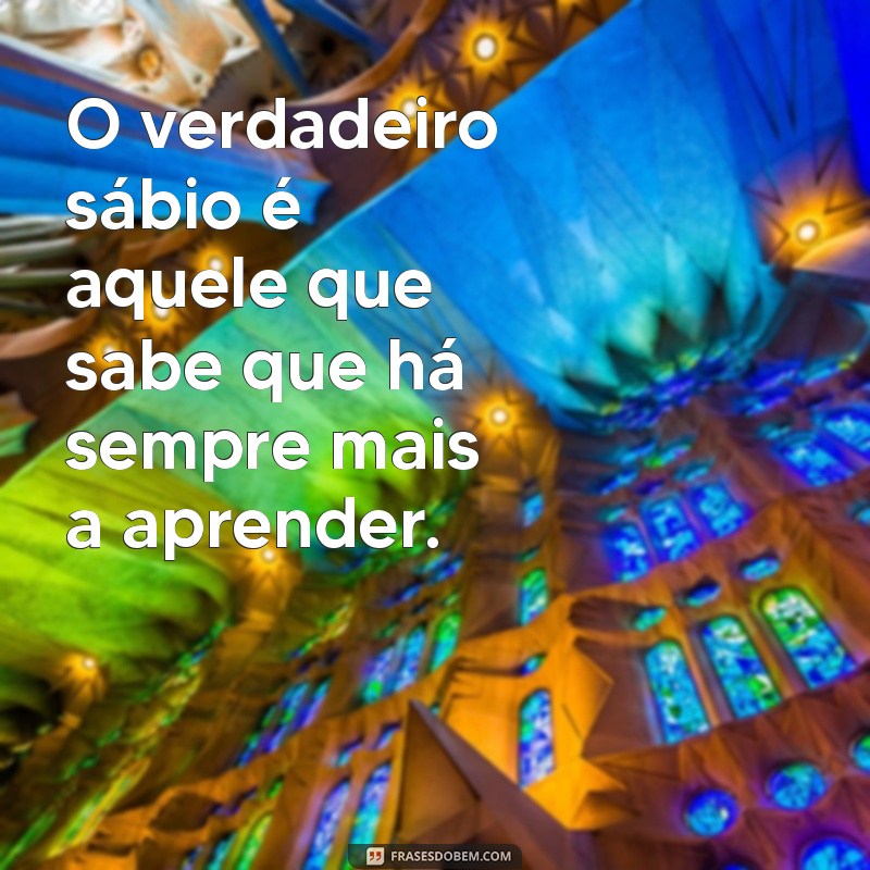 Sabedoria vs. Conhecimento: Entenda as Diferenças e Como Aplicá-los na Sua Vida 