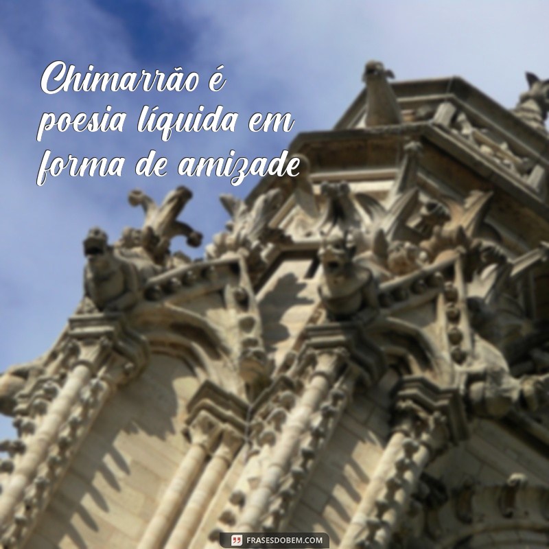 Frases Inspiradoras para Apreciar um Bom Chimarrão 