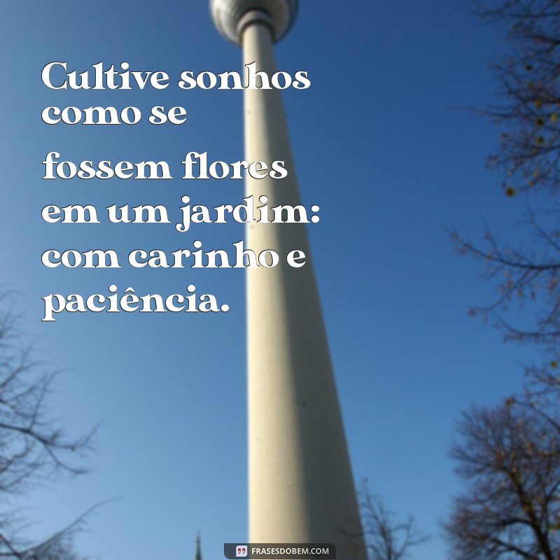 Frases Inspiradoras de Ana Maria Braga: Reflexões do Dia 