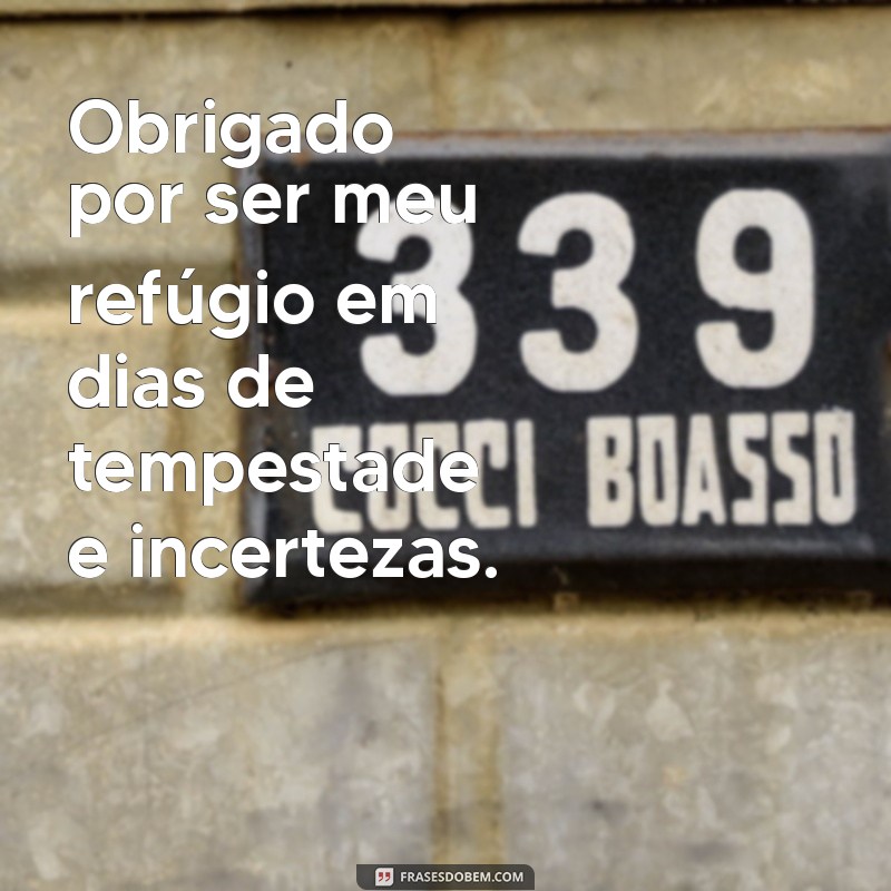 Como Expressar Gratidão a Nossa Senhora Aparecida: Mensagens e Frases Inspiradoras 