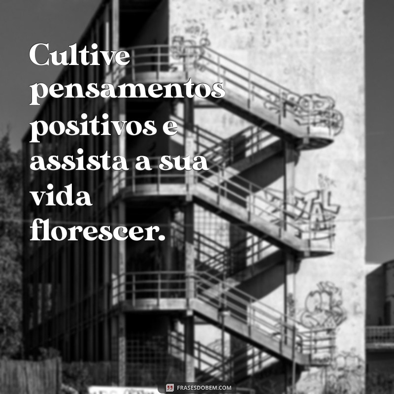 Frases Inspiradoras: 50 Mensagens para Motivar e Refletir 