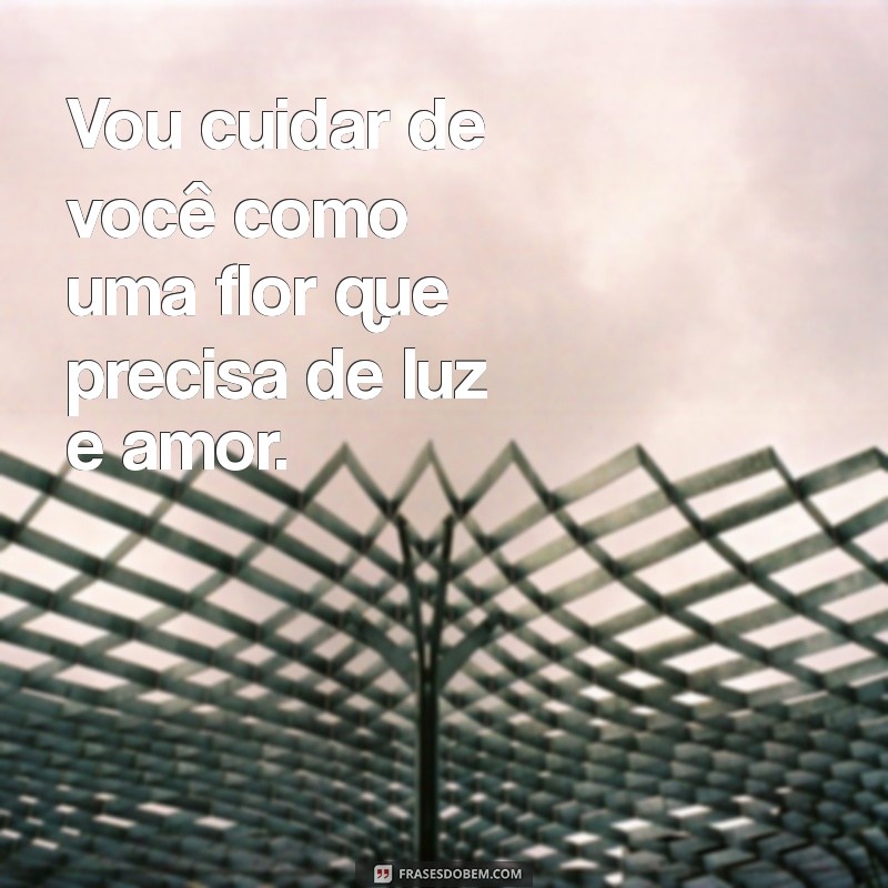 vou cuidar de você Vou cuidar de você como uma flor que precisa de luz e amor.