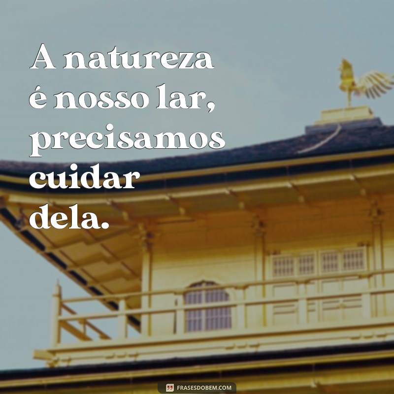 frases de conscientização sobre o meio ambiente A natureza é nosso lar, precisamos cuidar dela.