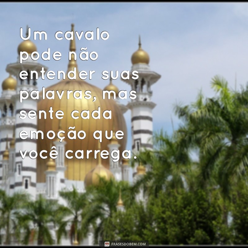 Mensagens Inspiradoras para Cavalgadas: Celebre a Liberdade e a Aventura 