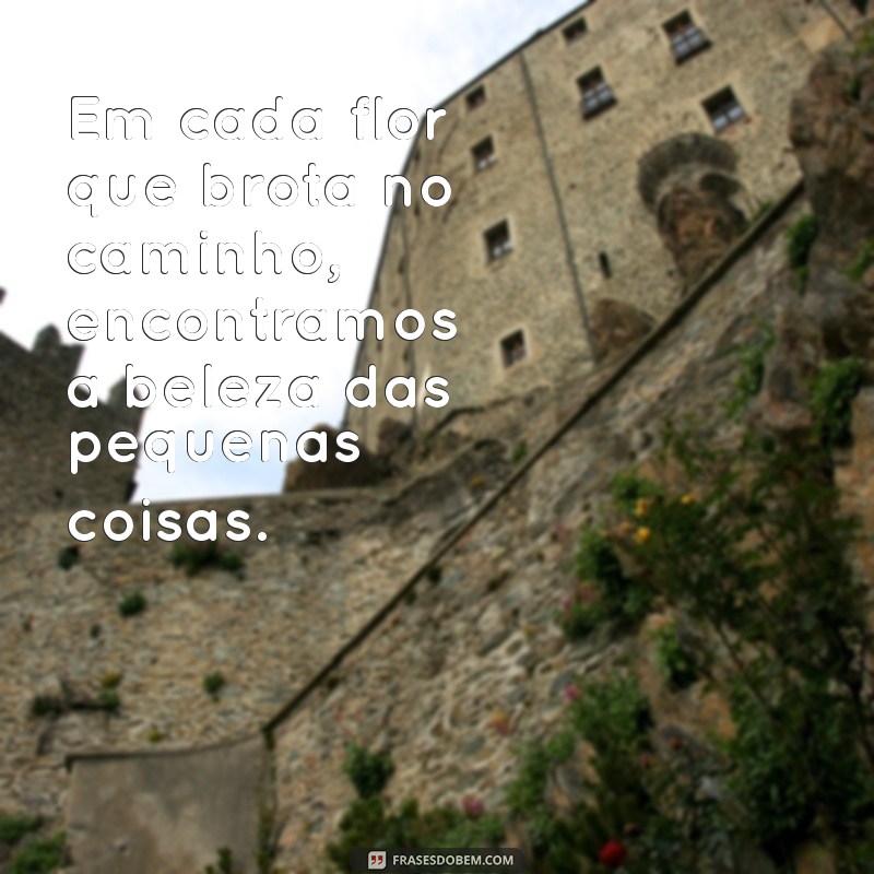 frases sobre flores no caminho Em cada flor que brota no caminho, encontramos a beleza das pequenas coisas.