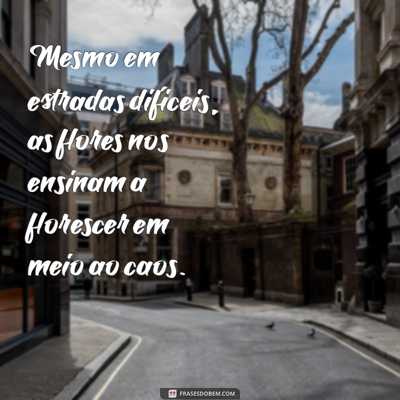 Descubra Inspirações: Frases Encantadoras sobre Flores no Caminho 