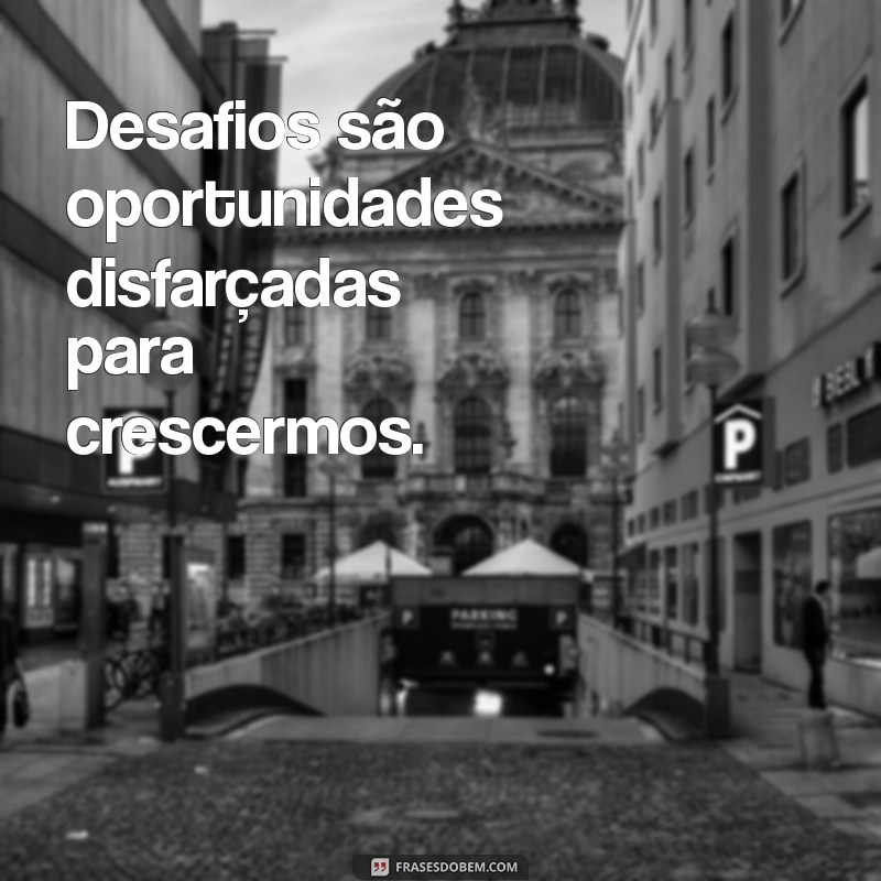 30 Frases Inspiradoras de Administração para Motivar sua Equipe 