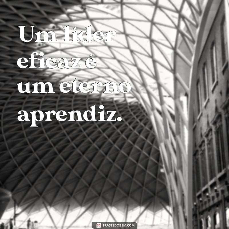 30 Frases Inspiradoras de Administração para Motivar sua Equipe 