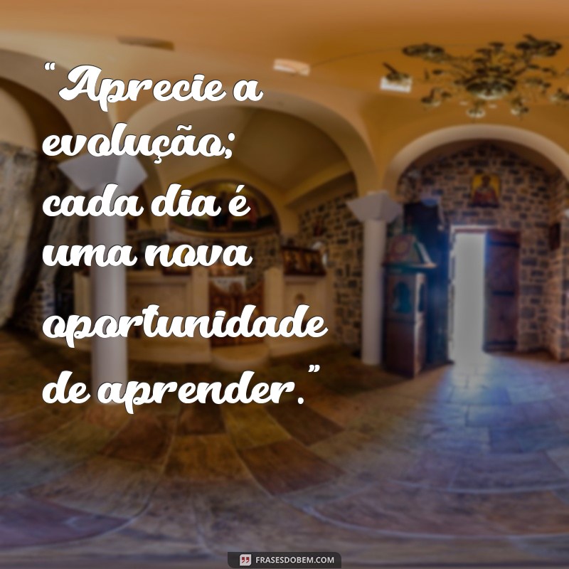 Frases Inspiradoras para Valorizar o Processo de Vida 