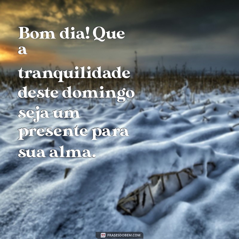 Mensagens Inspiradoras de Bom Dia: Domingo de Paz e Reflexão 