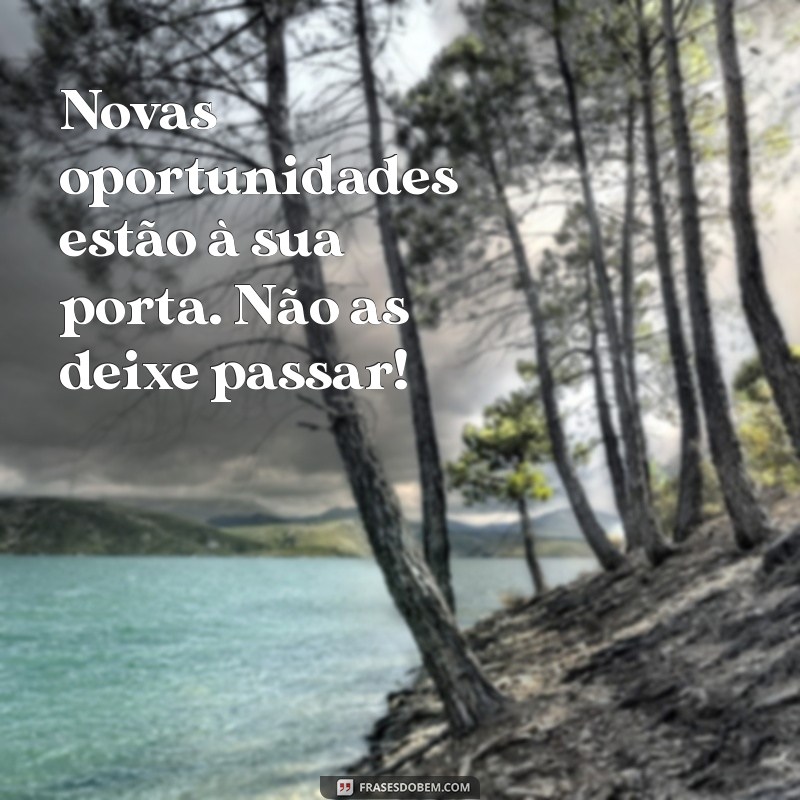 Frases Inspiradoras para Começar o Novo Mês com Motivação 