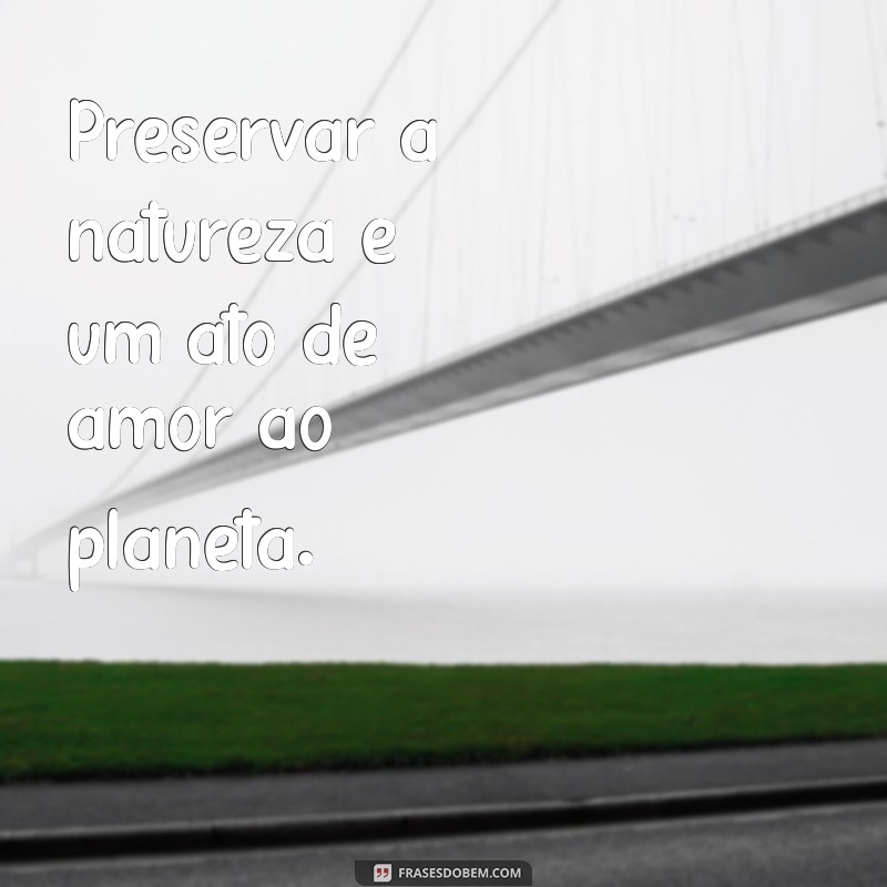 preservar Preservar a natureza é um ato de amor ao planeta.