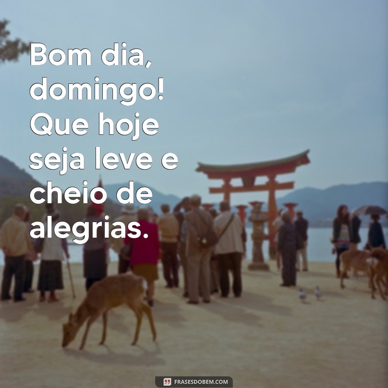 bom dua domingo Bom dia, domingo! Que hoje seja leve e cheio de alegrias.