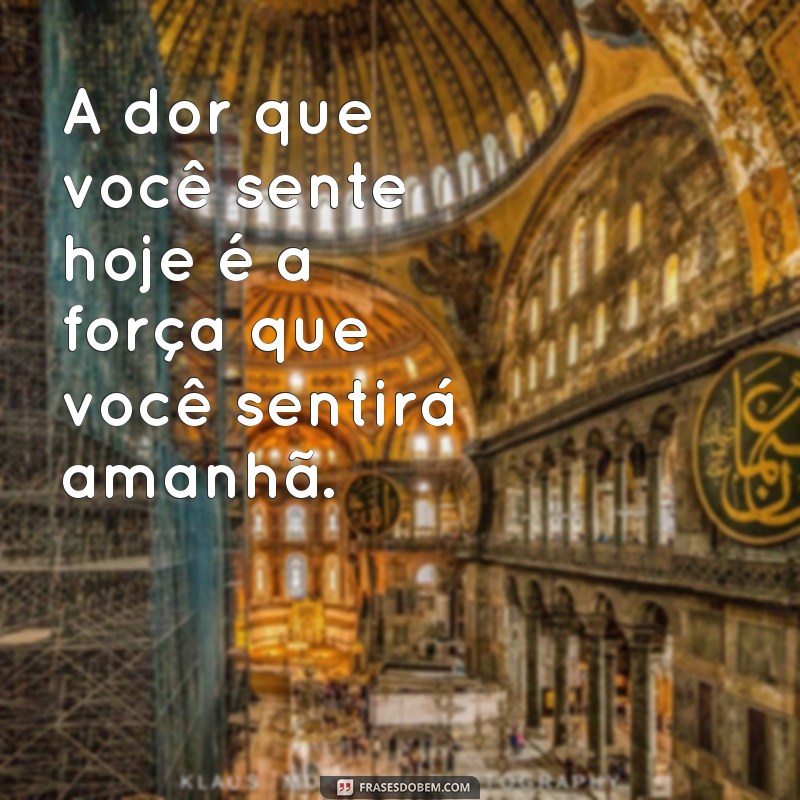 Frases Inspiradoras para Acompanhar Suas Fotos na Academia 