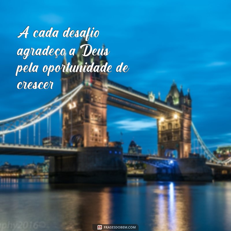 28 Frases Inspiradoras de Agradecimento a Deus para Refletir e Compartilhar 